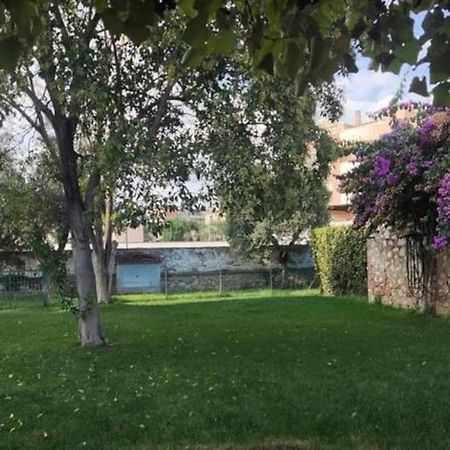 Home Garden Grosseto Eksteriør billede