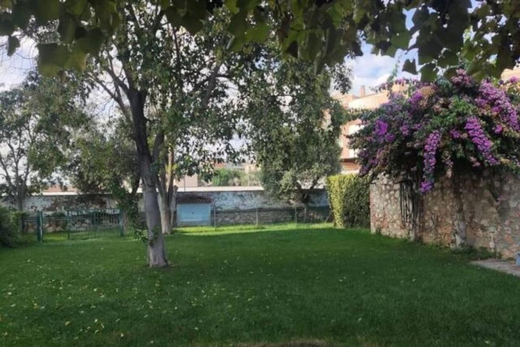 Home Garden Grosseto Eksteriør billede