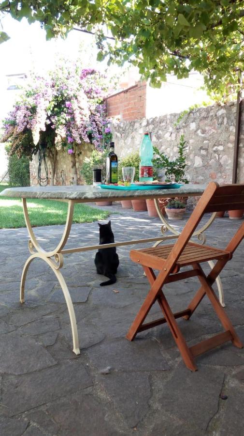 Home Garden Grosseto Eksteriør billede
